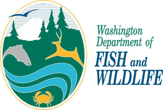 Washingtons fishing reports