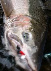 UV Steelhead Jigs